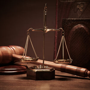 In-Person Immigration Consultancy